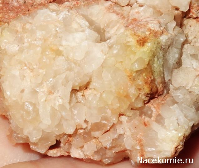 Компания кладоискателей. Болталка форума Минералов