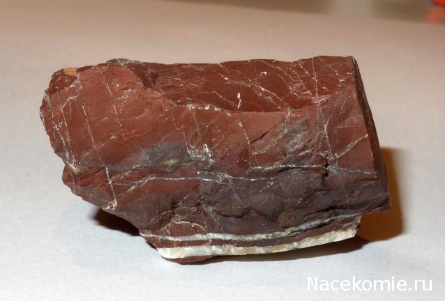 Компания кладоискателей. Болталка форума Минералов