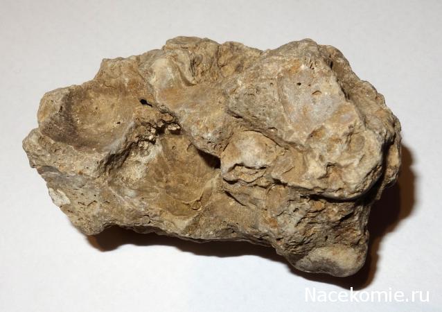 Компания кладоискателей. Болталка форума Минералов