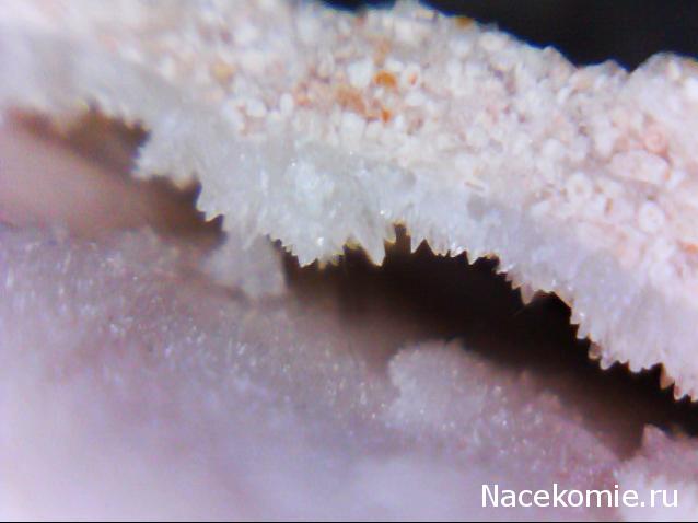 Компания кладоискателей. Болталка форума Минералов