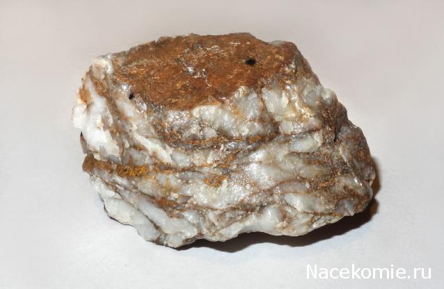 Компания кладоискателей. Болталка форума Минералов