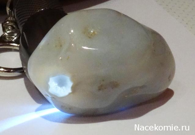 Компания кладоискателей. Болталка форума Минералов