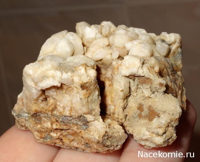 Компания кладоискателей. Болталка форума Минералов