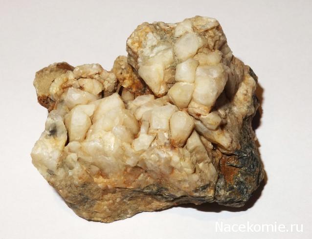 Компания кладоискателей. Болталка форума Минералов