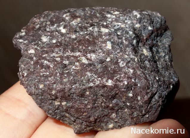 Компания кладоискателей. Болталка форума Минералов