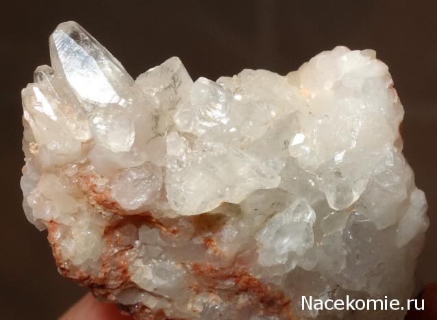 Компания кладоискателей. Болталка форума Минералов