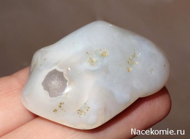 Компания кладоискателей. Болталка форума Минералов