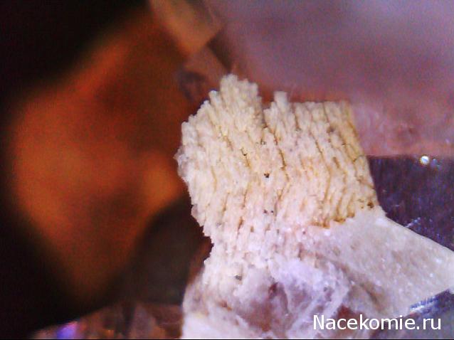 Минералы Подземные Богатства №1 - Аметист