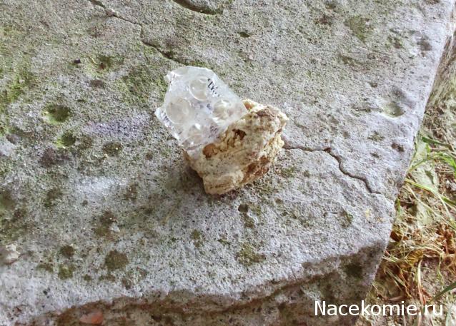 Компания кладоискателей. Болталка форума Минералов