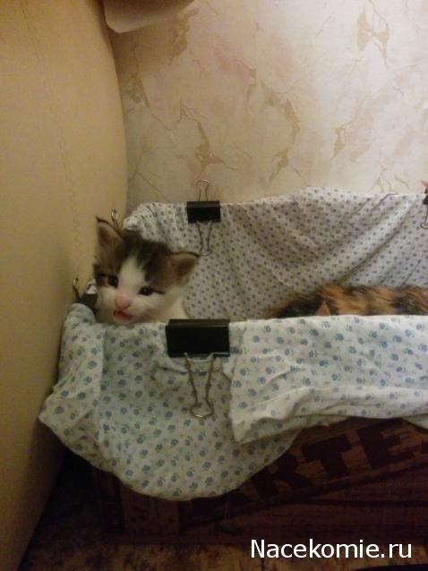 "Живой уголок"