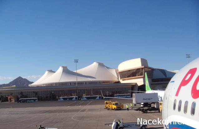 Тракторная болталка