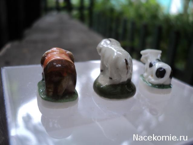 Paranoya - мой скромный домик