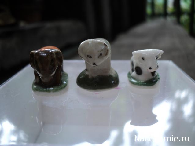 Paranoya - мой скромный домик