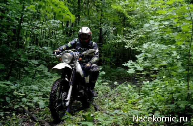 Фото наших коллекций автомобилей