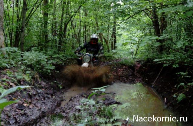 Фото наших коллекций автомобилей