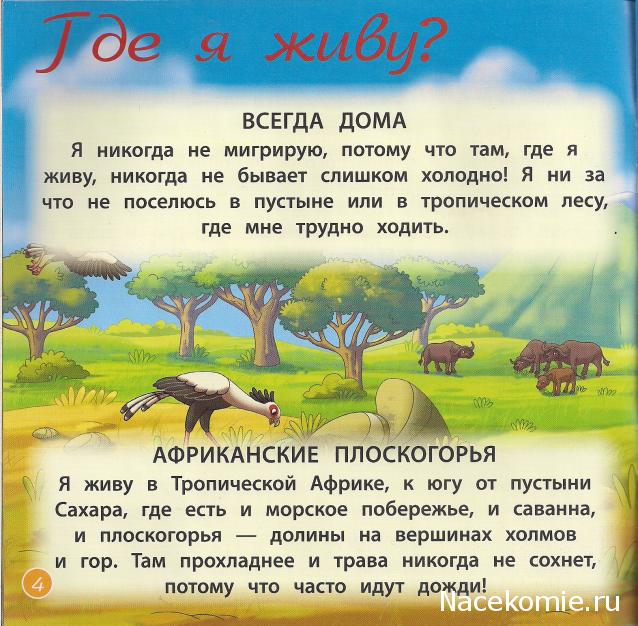 Животные Дикой Природы №32 - Жена Рейнджера Келли и Детеныш Суриката