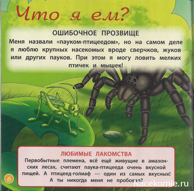 Животные Дикой Природы №35 - Кенгурёнок и дочка рейнджеров Алиса