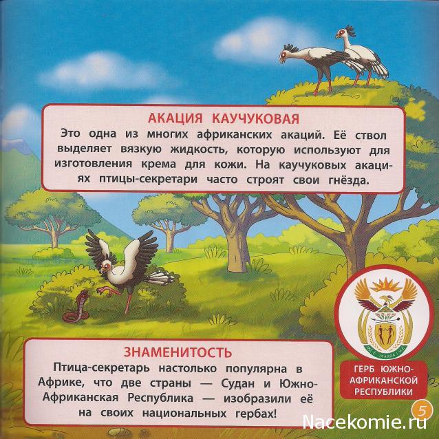 Животные Дикой Природы №32 - Жена Рейнджера Келли и Детеныш Суриката