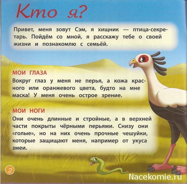 Животные Дикой Природы №32 - Жена Рейнджера Келли и Детеныш Суриката