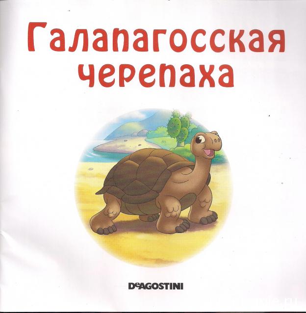 Животные Дикой Природы №33 - Самка Черепахи Джиджи