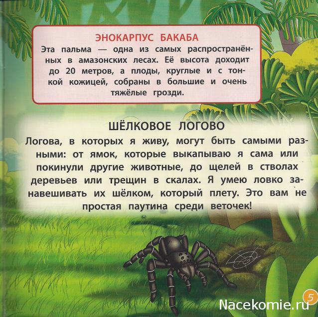 Животные Дикой Природы №35 - Кенгурёнок и дочка рейнджеров Алиса