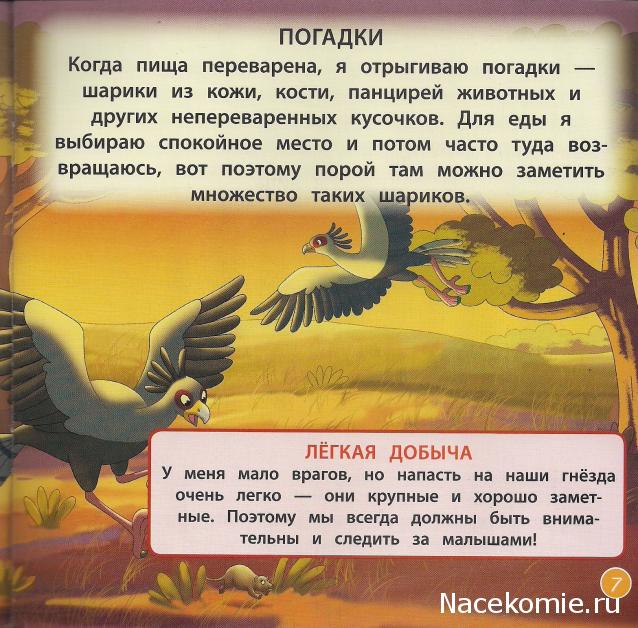 Животные Дикой Природы №32 - Жена Рейнджера Келли и Детеныш Суриката