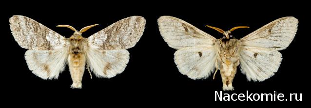 "Живой уголок"