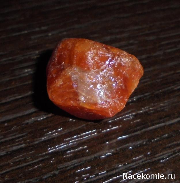 Компания кладоискателей. Болталка форума Минералов