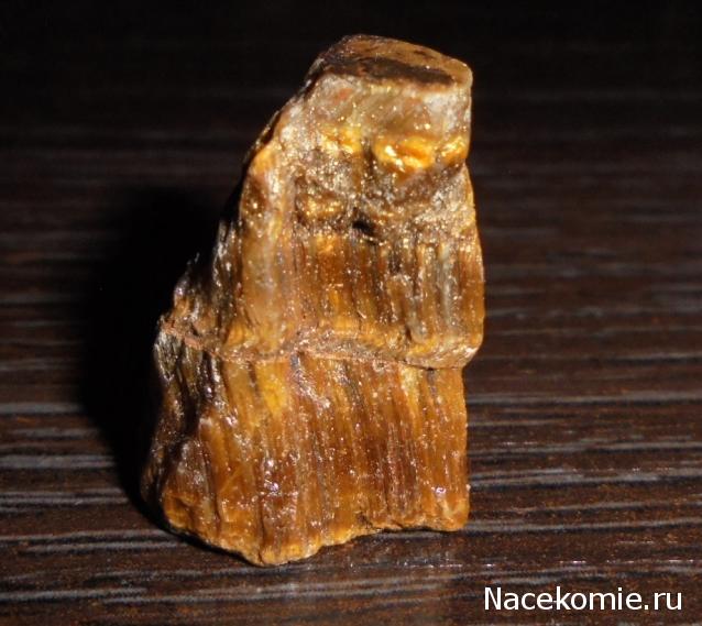 Компания кладоискателей. Болталка форума Минералов