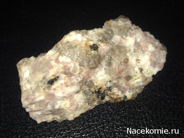 Компания кладоискателей. Болталка форума Минералов