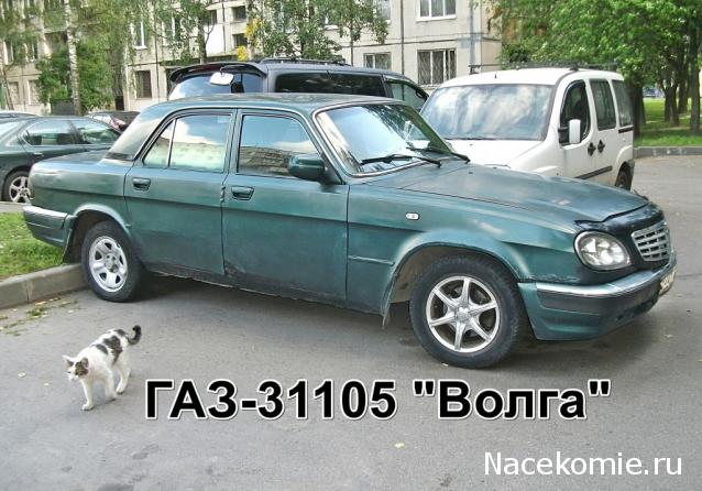 Автолегенды вживую