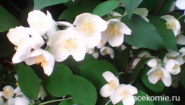 Тракторная болталка