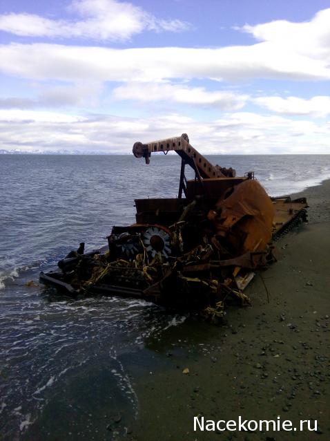 Автолегенды вживую