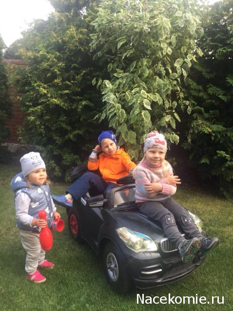 Железная Дорога в Миниатюре - Болталка