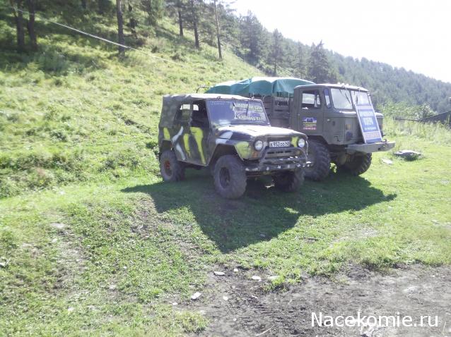 Автолегенды вживую