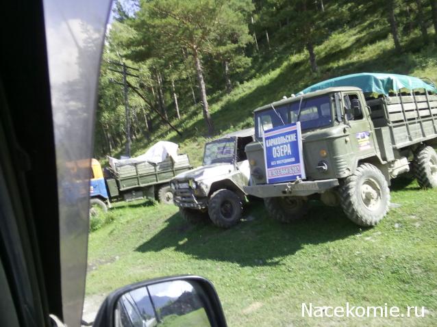 Автолегенды вживую