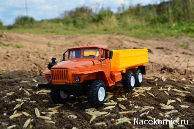 Конкурс "Краски осени"