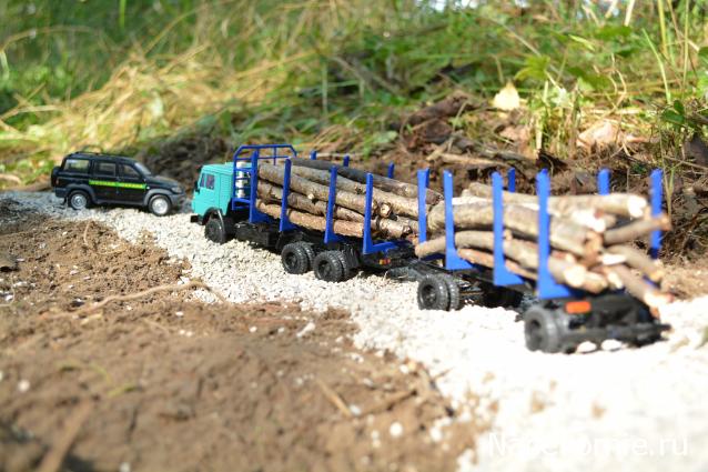 Конкурс "Краски осени"