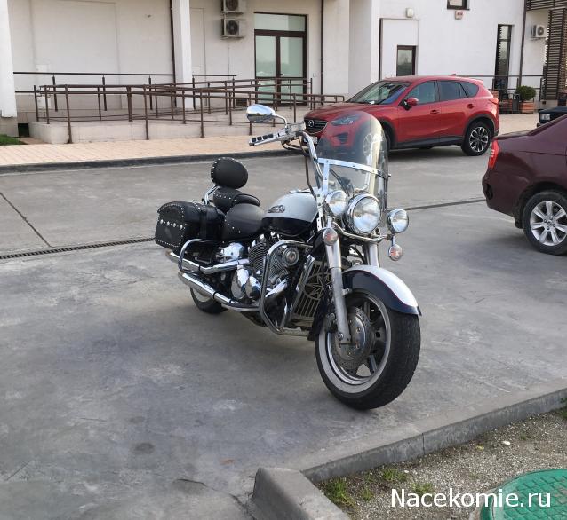 Автолегенды вживую