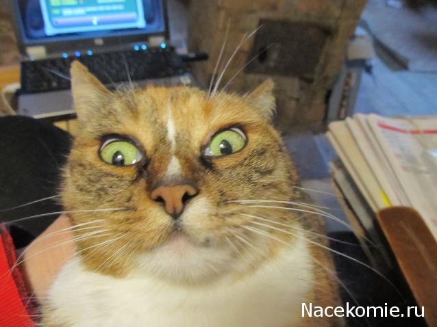 Margaritka. Гасиенда Каса де лос Суэньос