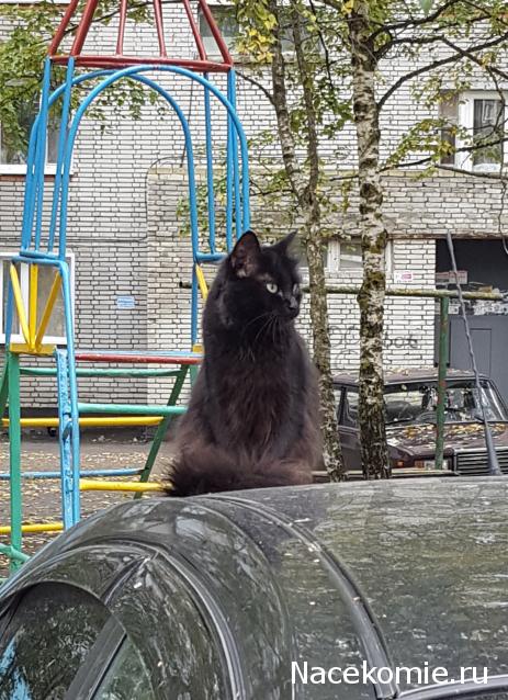 "Живой уголок"