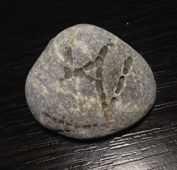 Компания кладоискателей. Болталка форума Минералов