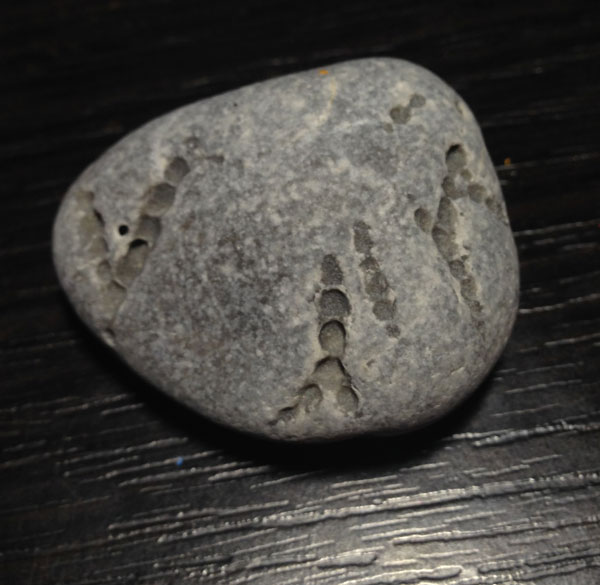 Компания кладоискателей. Болталка форума Минералов