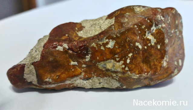 Компания кладоискателей. Болталка форума Минералов