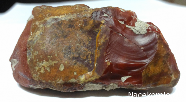 Компания кладоискателей. Болталка форума Минералов