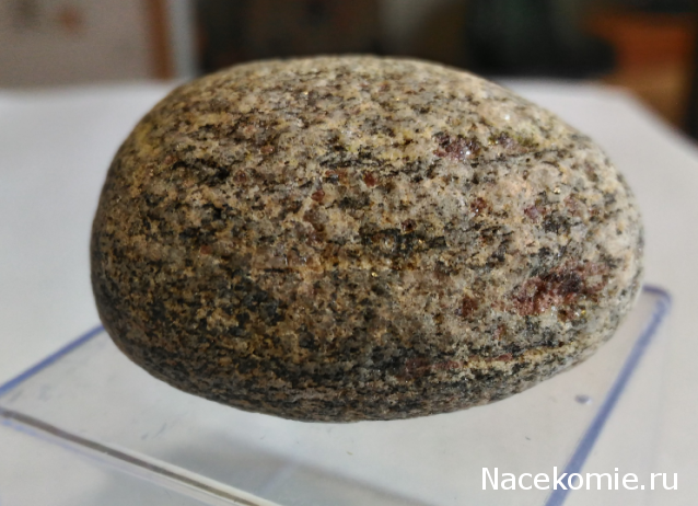 Компания кладоискателей. Болталка форума Минералов