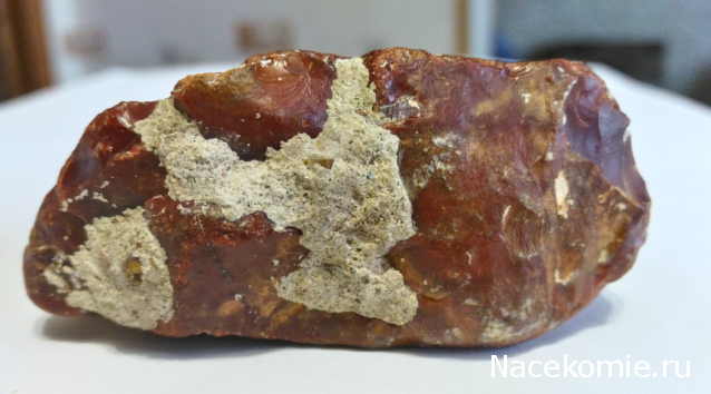 Компания кладоискателей. Болталка форума Минералов