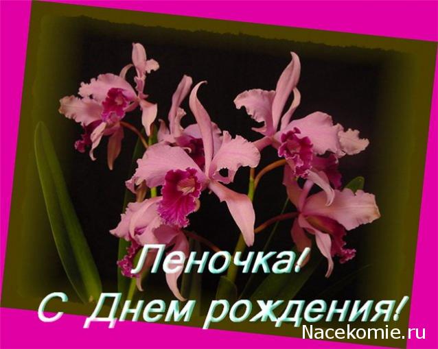 Наши Дни Рождения