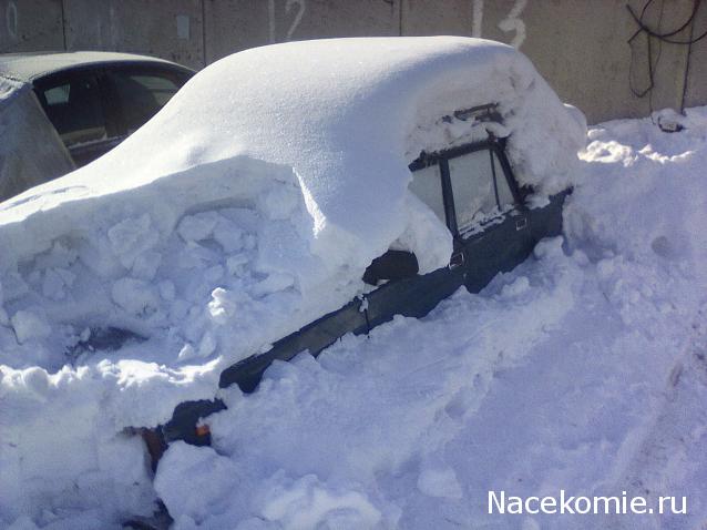 Автолегенды вживую