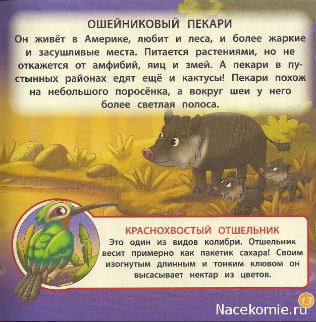 Животные Дикой Природы №36 - Анаконда Нандо